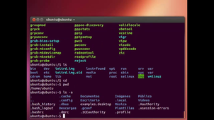 2.2_Organización del sistema de archivos Linux