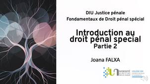 DIU JP - JF - 1- Introduction au droit penal special_P2