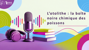 L'otolithe - la boîte noire chimique des poissons