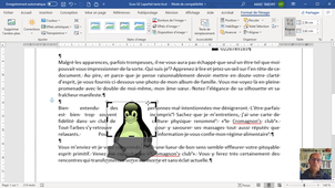Word - 03-Les images