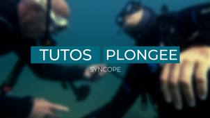 Video 3 - Syncope