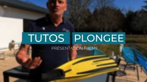 Présentation des palmes