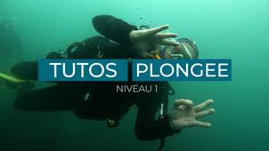 TEASER Plongée niveau 1