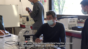 Projet COM CMI 2021 - Chainons Béarnais