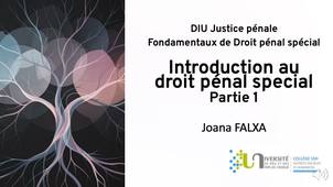 DIU JP - JF - 1- Introduction au droit penal special_P1