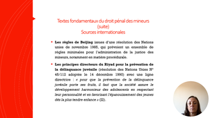 DIU JP - LG -Fondamentaux droit pénal des mineurs. L. Grégoire - Partie 3
