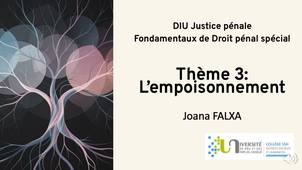 Theme-3-Lempoisonnement.mp4