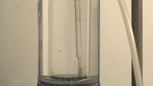 Dissection du ver de terre par Jean Philippe Colin