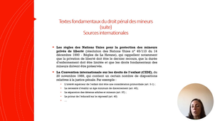 Fondamentaux droit pénal des mineurs. L. Grégoire - Partie 3.mp4