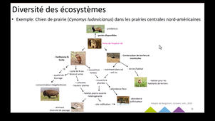 UE changements globaux: Biodiversité partie 3