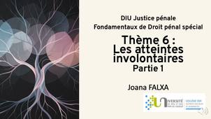 DIU JP - JF - Thème-6-Les-atteintes-involontaires-a-lintegrite-physique_P1
