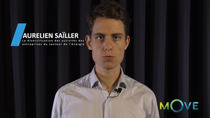 Aurélien Saïller : La diversification des activités des entreprises du secteur de l'énergie