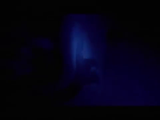 LA GRAN OBRA MAESTRA FRANK T