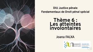 Thème-6-Les-atteintes-involontaires-a-lintegrite-physique.mp4