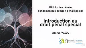 1- Introduction au droit penal special - DIU Justice pénale.mp4