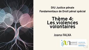 Theme-4-Les-violences-volontaires.mp4