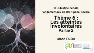 DIU JP - JF - Thème-6-Les-atteintes-involontaires-a-lintegrite-physique_P2