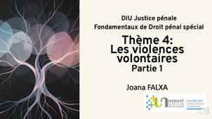 DIU JP - JF - Theme-4-Les-violences-volontaires_P1