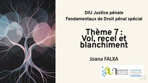 Theme-7-Vol-recel-et-blanchiment.mp4