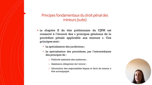 Fondamentaux droit pénal des mineurs. L. Grégoire - Partie 4.mp4