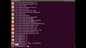 5.1_Instalación, desinstalación y verificación de paquetes de software