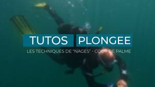 Video 9 - Les techniques de nages, Coup de palme