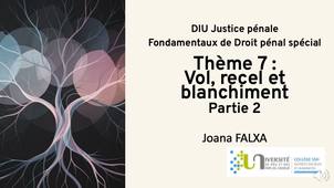 DIU JP - JF - Theme-7-Vol-recel-et-blanchiment_P2