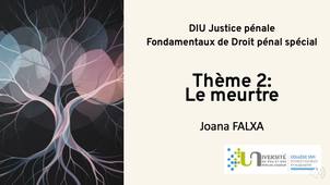 Theme-2-Le-meurtre.mp4