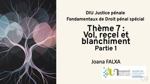 DIU JP - JF - Theme-7-Vol-recel-et-blanchiment_P1