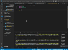 Python 7.5 - Creando bibliotecas personales