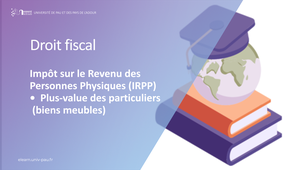 Module 2 - IRPP - Plus-value des particuliers (biens meubles)