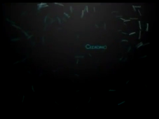 Globalizacion e identidad