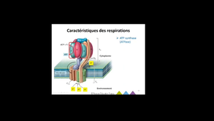 Microbio_chapitre II.3 partie 1
