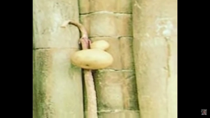 El camino de Santiago de Compostela