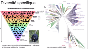 UE changements globaux: Biodiversité partie 1 et 2
