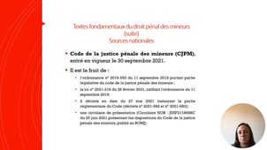 Fondamentaux droit pénal des mineurs. L. Grégoire - Partie 2.mp4