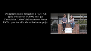 CMI - Projet com 2019 - Les Nanoplastiques