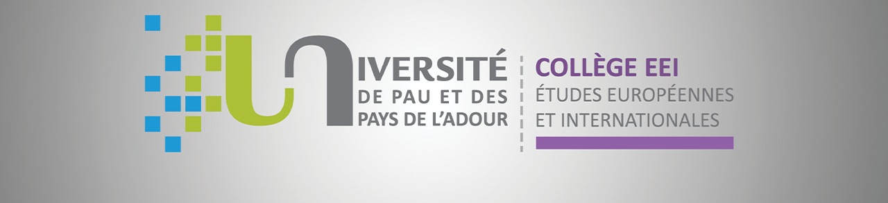 Bannière IAE Master MICL